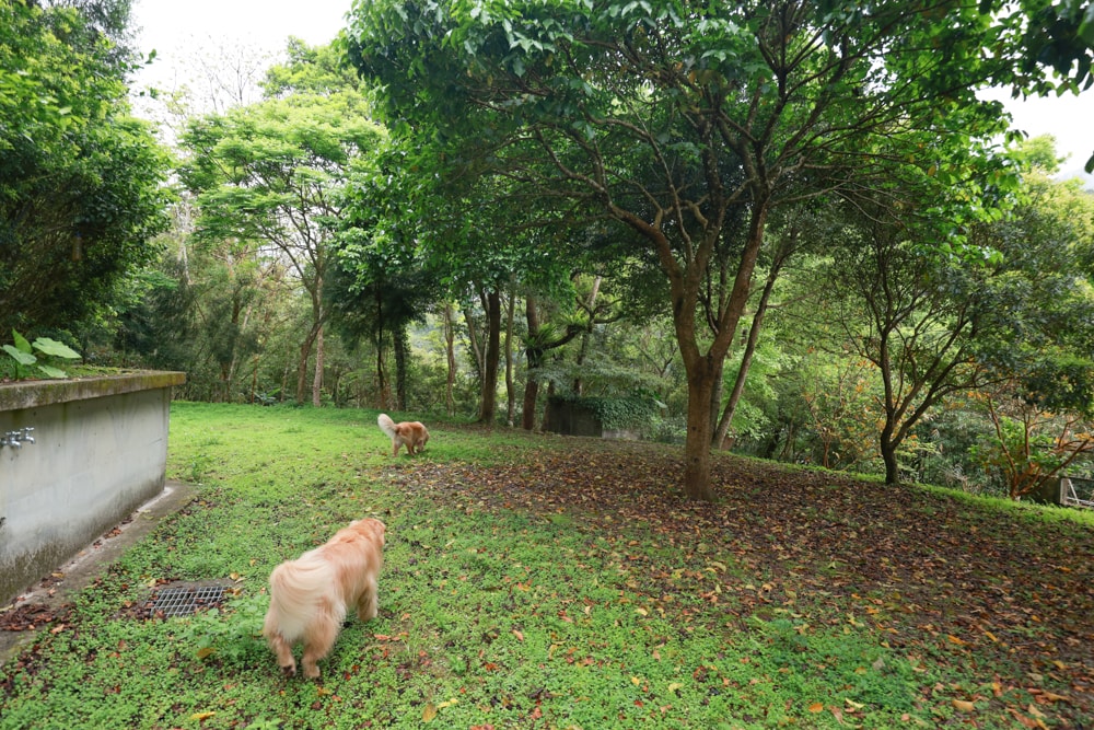 新北烏來住宿推薦|足立司拉梯田溫泉背包館、寵物友善、平日包棟、泡湯、觀星一次滿足 - 第3張圖 新北烏來住宿推薦|足立司拉梯田溫泉背包館、寵物友善、平日包棟、泡湯、觀星一次滿足