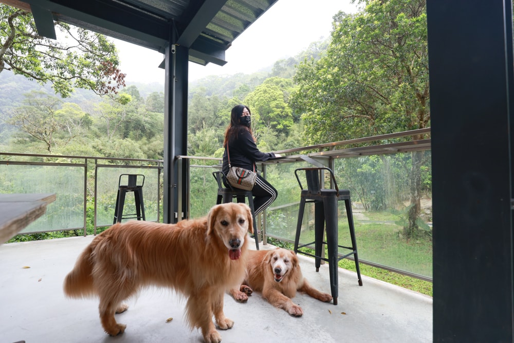 新北烏來住宿推薦|足立司拉梯田溫泉背包館、寵物友善、平日包棟、泡湯、觀星一次滿足 - 第8張圖 新北烏來住宿推薦|足立司拉梯田溫泉背包館、寵物友善、平日包棟、泡湯、觀星一次滿足