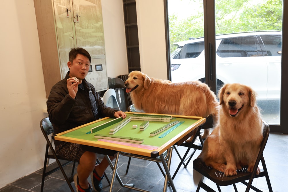 新北烏來住宿推薦|足立司拉梯田溫泉背包館、寵物友善、平日包棟、泡湯、觀星一次滿足 - 第19張圖 新北烏來住宿推薦|足立司拉梯田溫泉背包館、寵物友善、平日包棟、泡湯、觀星一次滿足
