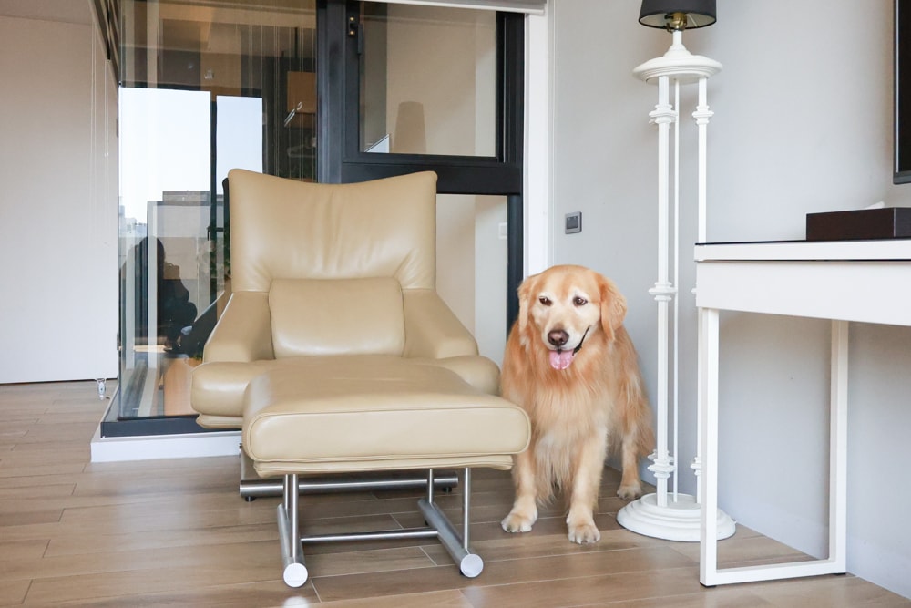 台南安平|禾也‧香格Villa民宿。歐風浪漫藝術、寵物親子友善、一整棟包下來最舒服!! - 第24張圖 台南安平|禾也‧香格Villa民宿。歐風浪漫藝術、寵物親子友善、一整棟包下來最舒服!!