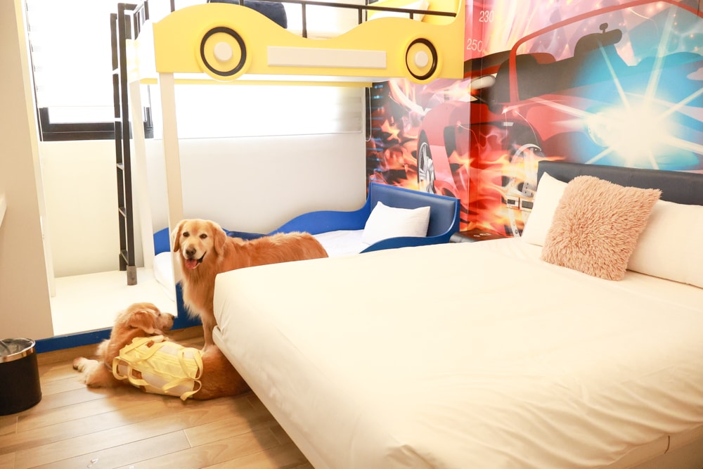 台南安平|禾也‧香格Villa民宿。歐風浪漫藝術、寵物親子友善、一整棟包下來最舒服!! - 第15張圖 台南安平|禾也‧香格Villa民宿。歐風浪漫藝術、寵物親子友善、一整棟包下來最舒服!!