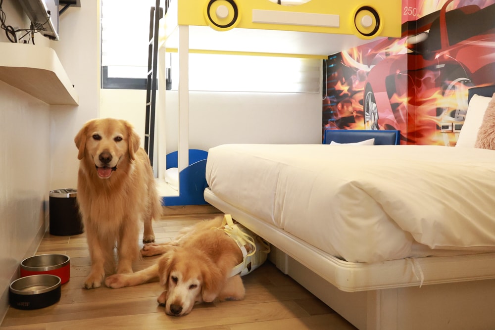 台南安平|禾也‧香格Villa民宿。歐風浪漫藝術、寵物親子友善、一整棟包下來最舒服!! - 第13張圖 台南安平|禾也‧香格Villa民宿。歐風浪漫藝術、寵物親子友善、一整棟包下來最舒服!!