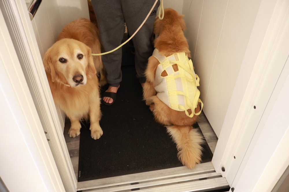 台南安平|禾也‧香格Villa民宿。歐風浪漫藝術、寵物親子友善、一整棟包下來最舒服!! - 第12張圖 台南安平|禾也‧香格Villa民宿。歐風浪漫藝術、寵物親子友善、一整棟包下來最舒服!!