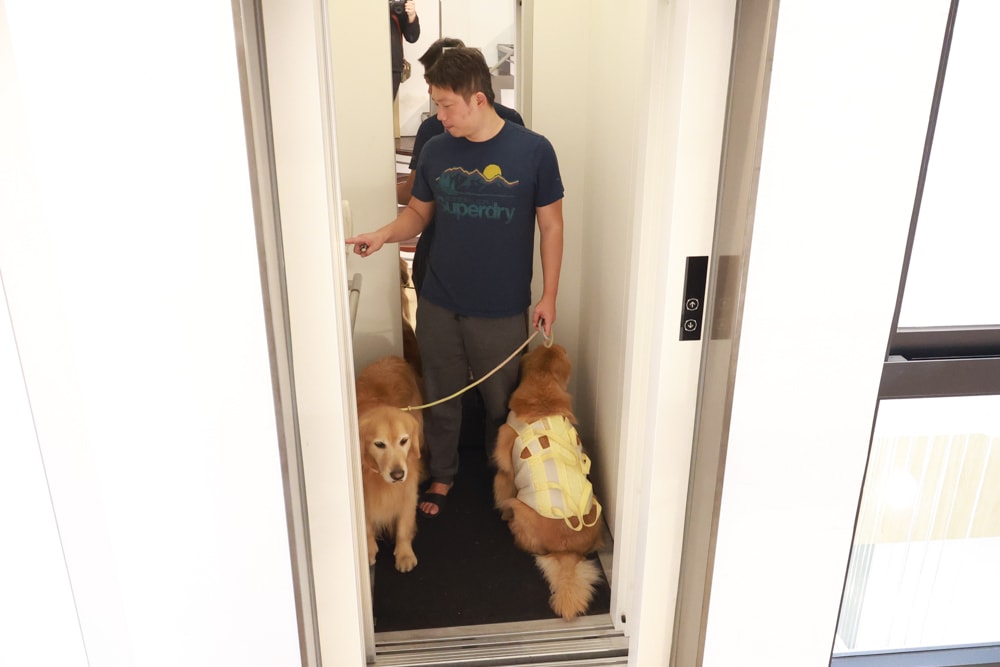 台南安平|禾也‧香格Villa民宿。歐風浪漫藝術、寵物親子友善、一整棟包下來最舒服!! - 第11張圖 台南安平|禾也‧香格Villa民宿。歐風浪漫藝術、寵物親子友善、一整棟包下來最舒服!!