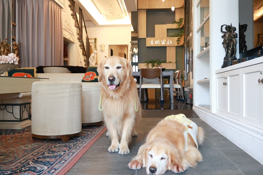 台南安平|禾也‧香格Villa民宿。歐風浪漫藝術、寵物親子友善、一整棟包下來最舒服!! - 第7張圖 台南安平|禾也‧香格Villa民宿。歐風浪漫藝術、寵物親子友善、一整棟包下來最舒服!!