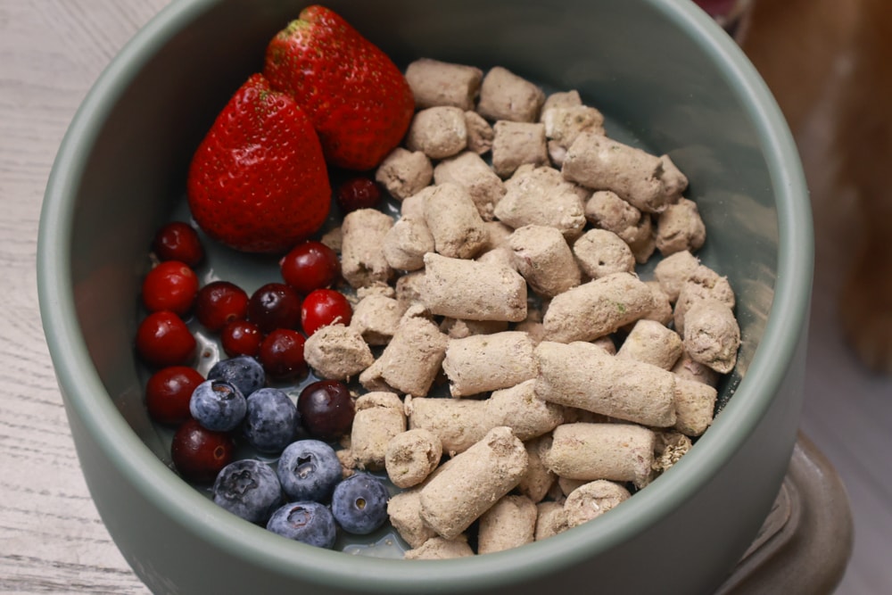 天然無穀凍乾狗糧推薦｜NZ Natural鮮開凍WOOF凍乾。紐西蘭凍乾生食、天然無穀高含肉量，挑嘴犬也愛吃！