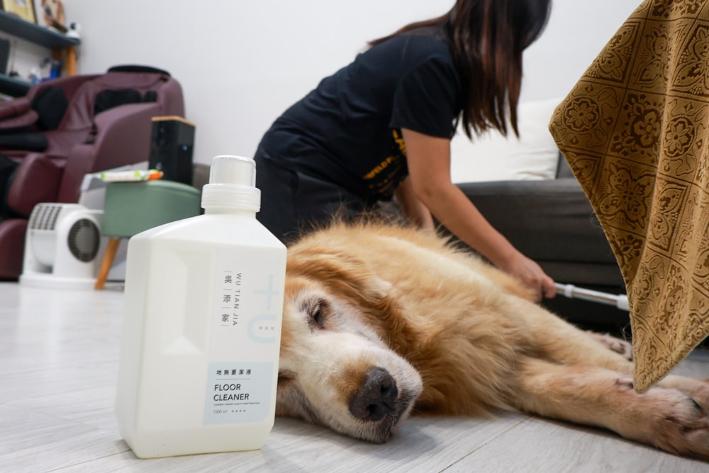 毛孩家庭清潔推薦｜吳添家植萃酵素清潔劑！從地板、空氣、織品一次搞定、天然無添加、全方位家庭清潔神隊友