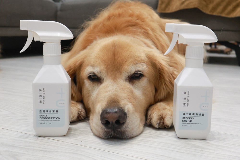 毛孩家庭清潔推薦｜吳添家植萃酵素清潔劑！從地板、空氣、織品一次搞定、天然無添加、全方位家庭清潔神隊友