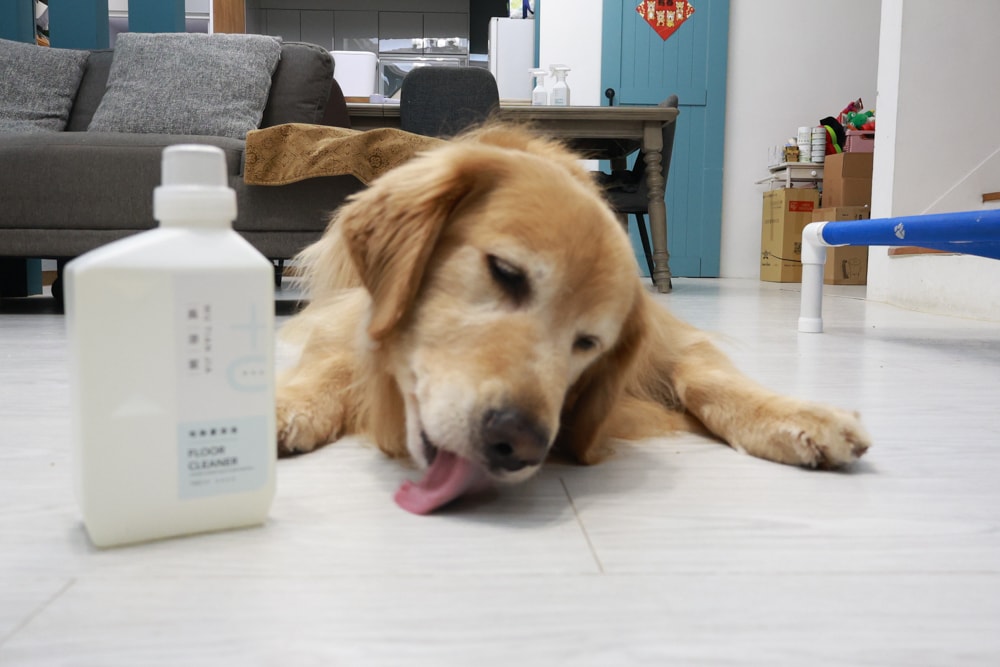 毛孩家庭清潔推薦｜吳添家植萃酵素清潔劑！從地板、空氣、織品一次搞定、天然無添加、全方位家庭清潔神隊友