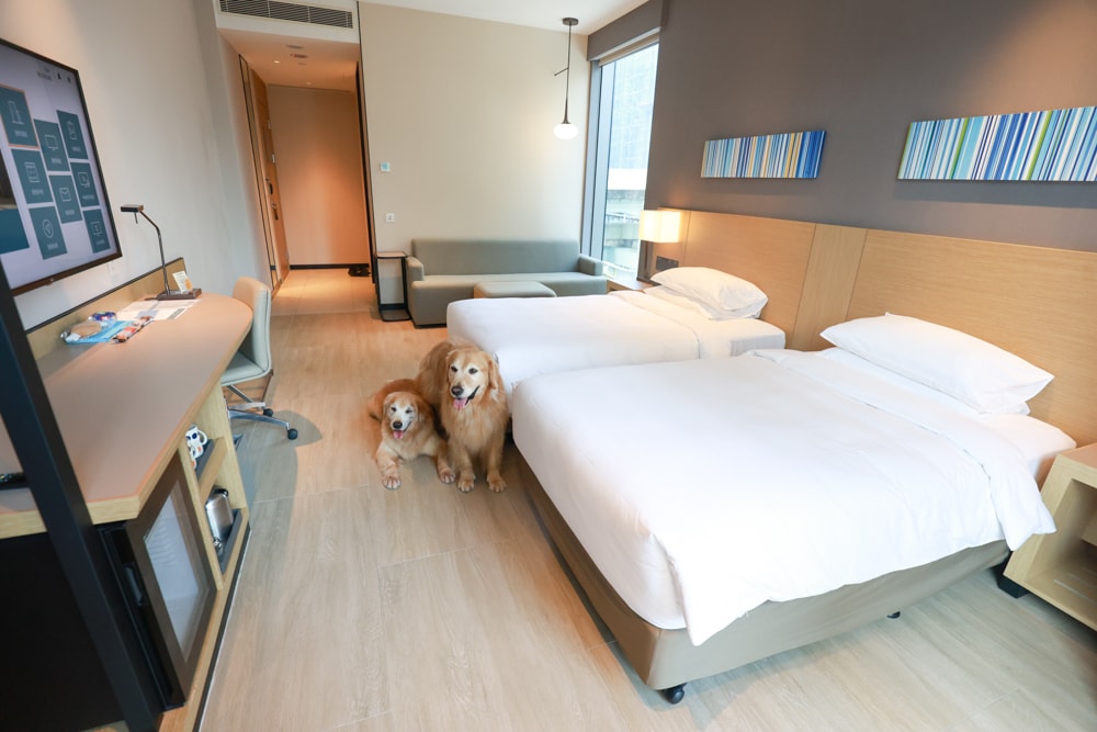 新北住宿推薦|新北新莊凱悅嘉軒酒店Hyatt Place。近機捷、宏匯廣場、寵物友善飯店推薦、交通便利、空中泳池 - 第27張圖 新北住宿推薦|新北新莊凱悅嘉軒酒店Hyatt Place。近機捷、宏匯廣場、寵物友善飯店推薦、交通便利、空中泳池