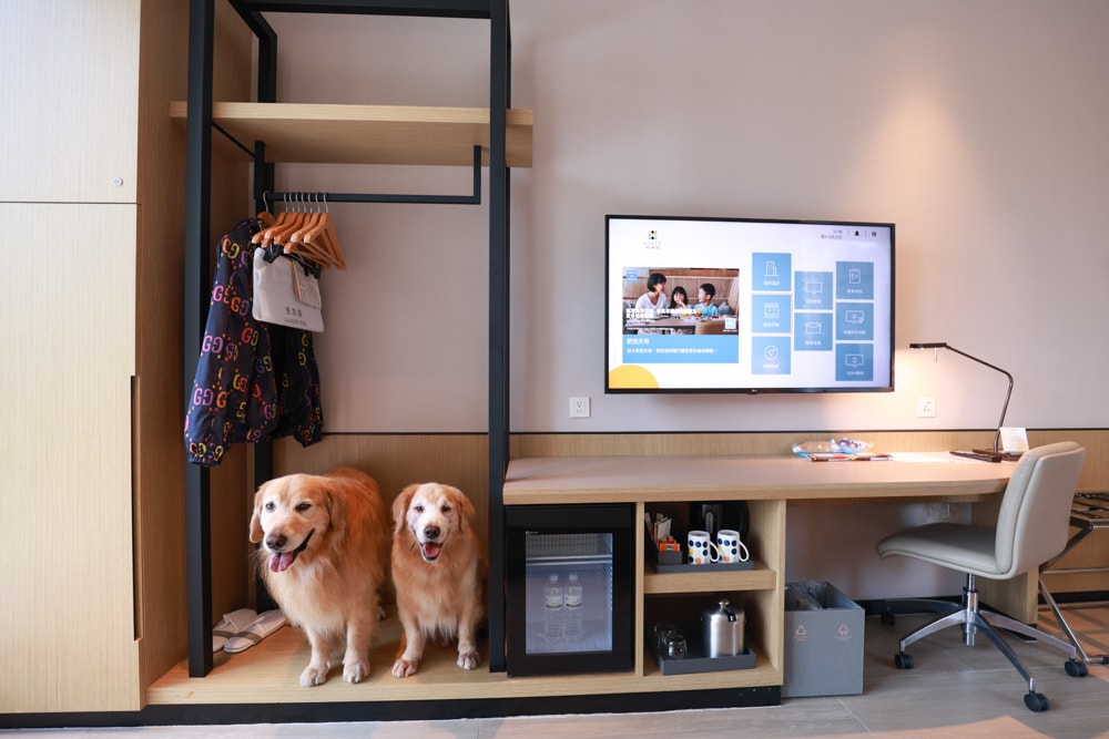 新北住宿推薦|新北新莊凱悅嘉軒酒店Hyatt Place。近機捷、宏匯廣場、寵物友善飯店推薦、交通便利、空中泳池 - 第32張圖 新北住宿推薦|新北新莊凱悅嘉軒酒店Hyatt Place。近機捷、宏匯廣場、寵物友善飯店推薦、交通便利、空中泳池