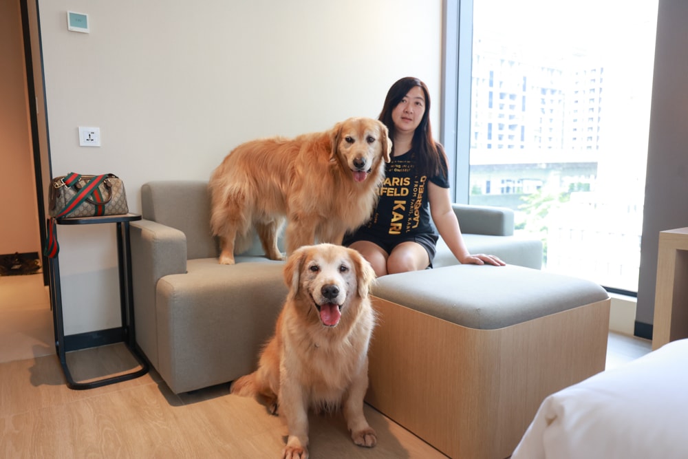 新北住宿推薦|新北新莊凱悅嘉軒酒店Hyatt Place。近機捷、宏匯廣場、寵物友善飯店推薦、交通便利、空中泳池 - 第25張圖 新北住宿推薦|新北新莊凱悅嘉軒酒店Hyatt Place。近機捷、宏匯廣場、寵物友善飯店推薦、交通便利、空中泳池