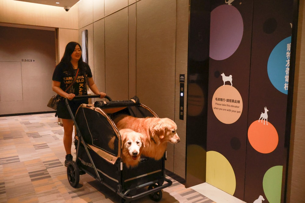 新北住宿推薦|新北新莊凱悅嘉軒酒店Hyatt Place。近機捷、宏匯廣場、寵物友善飯店推薦、交通便利、空中泳池 - 第16張圖 新北住宿推薦|新北新莊凱悅嘉軒酒店Hyatt Place。近機捷、宏匯廣場、寵物友善飯店推薦、交通便利、空中泳池