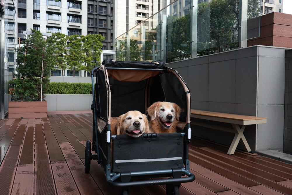 新北住宿推薦|新北新莊凱悅嘉軒酒店Hyatt Place。近機捷、宏匯廣場、寵物友善飯店推薦、交通便利、空中泳池 - 第17張圖 新北住宿推薦|新北新莊凱悅嘉軒酒店Hyatt Place。近機捷、宏匯廣場、寵物友善飯店推薦、交通便利、空中泳池