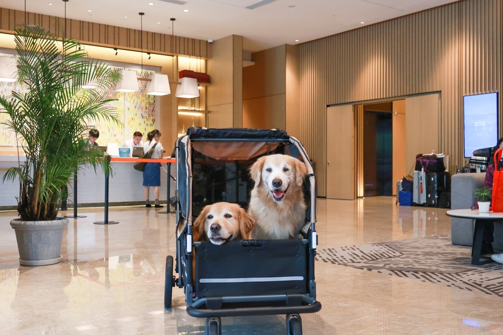 新北住宿推薦|新北新莊凱悅嘉軒酒店Hyatt Place。近機捷、宏匯廣場、寵物友善飯店推薦、交通便利、空中泳池 - 第10張圖 新北住宿推薦|新北新莊凱悅嘉軒酒店Hyatt Place。近機捷、宏匯廣場、寵物友善飯店推薦、交通便利、空中泳池