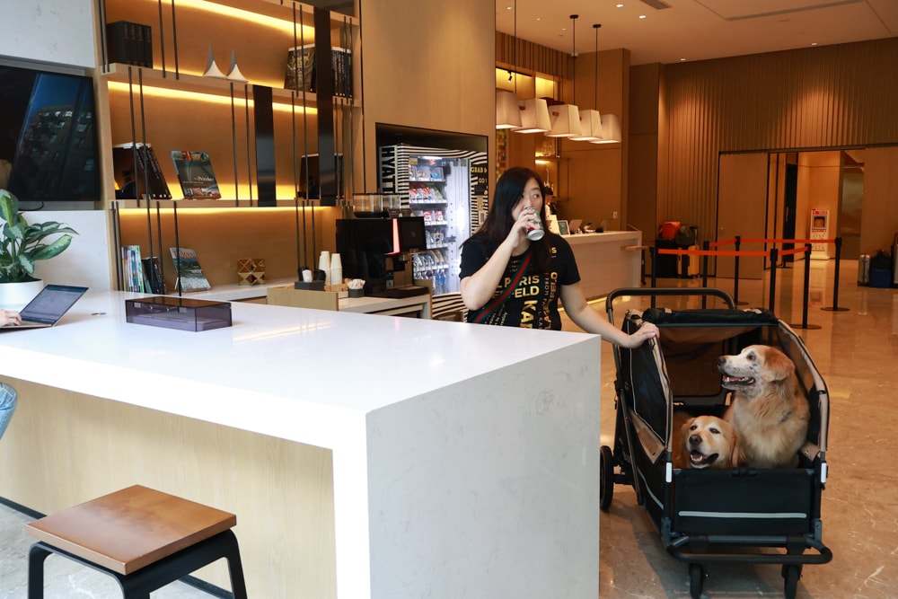 新北住宿推薦|新北新莊凱悅嘉軒酒店Hyatt Place。近機捷、宏匯廣場、寵物友善飯店推薦、交通便利、空中泳池 - 第12張圖 新北住宿推薦|新北新莊凱悅嘉軒酒店Hyatt Place。近機捷、宏匯廣場、寵物友善飯店推薦、交通便利、空中泳池