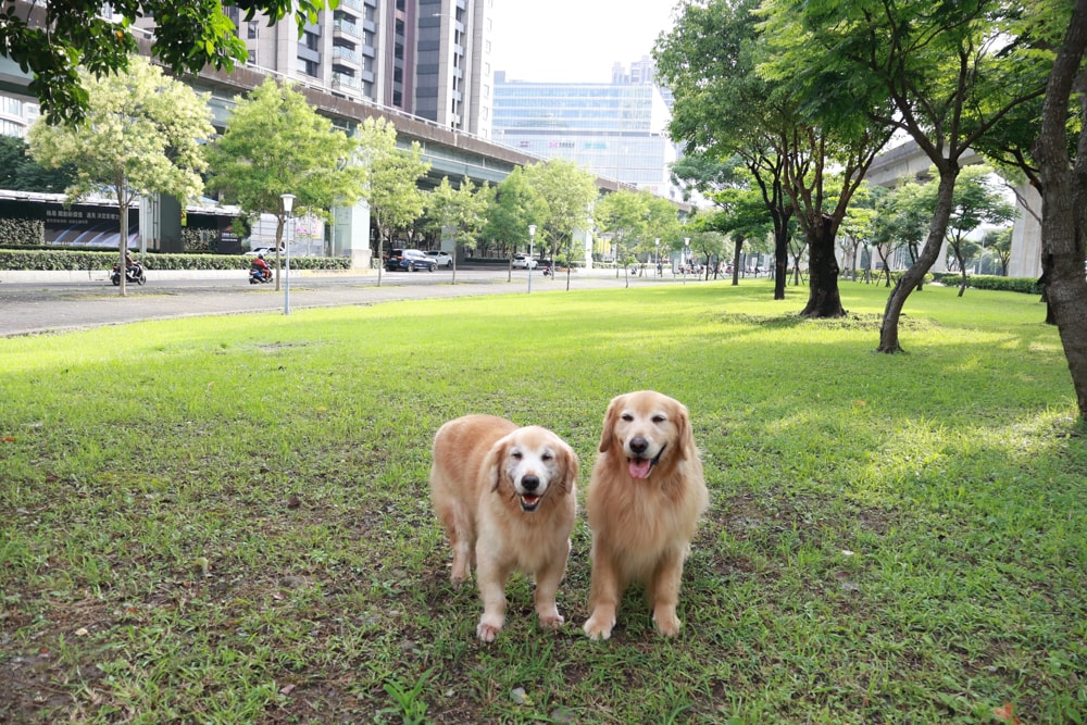 新北住宿推薦|新北新莊凱悅嘉軒酒店Hyatt Place。近機捷、宏匯廣場、寵物友善飯店推薦、交通便利、空中泳池 - 第6張圖 新北住宿推薦|新北新莊凱悅嘉軒酒店Hyatt Place。近機捷、宏匯廣場、寵物友善飯店推薦、交通便利、空中泳池