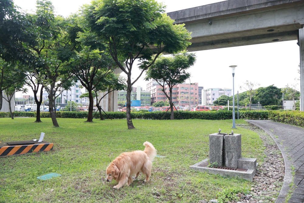 新北住宿推薦|新北新莊凱悅嘉軒酒店Hyatt Place。近機捷、宏匯廣場、寵物友善飯店推薦、交通便利、空中泳池 - 第7張圖 新北住宿推薦|新北新莊凱悅嘉軒酒店Hyatt Place。近機捷、宏匯廣場、寵物友善飯店推薦、交通便利、空中泳池