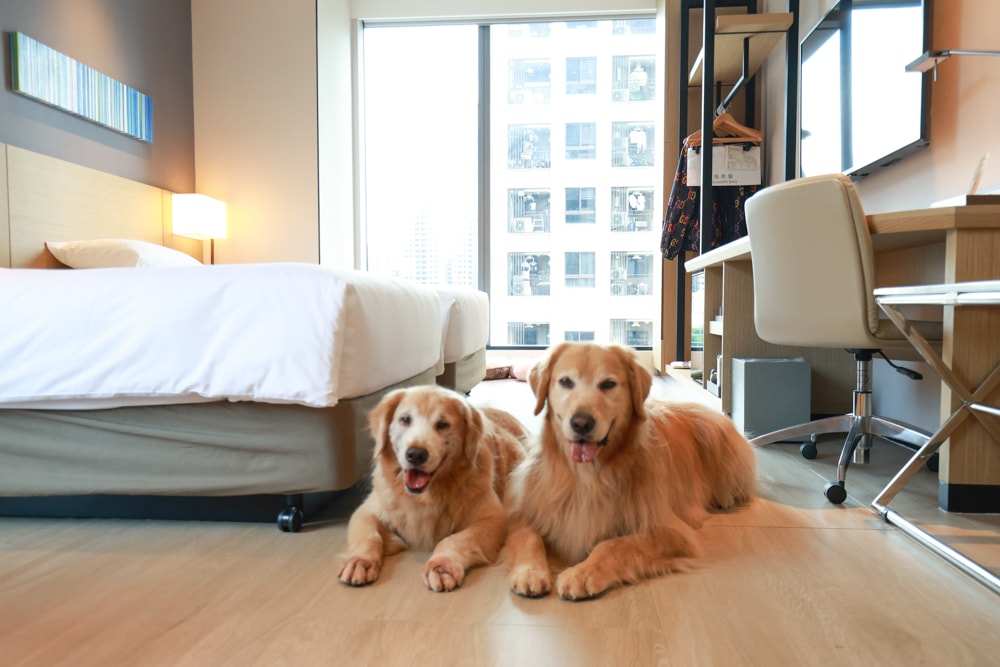 新北住宿推薦|新北新莊凱悅嘉軒酒店Hyatt Place。近機捷、宏匯廣場、寵物友善飯店推薦、交通便利、空中泳池 - 第23張圖 新北住宿推薦|新北新莊凱悅嘉軒酒店Hyatt Place。近機捷、宏匯廣場、寵物友善飯店推薦、交通便利、空中泳池