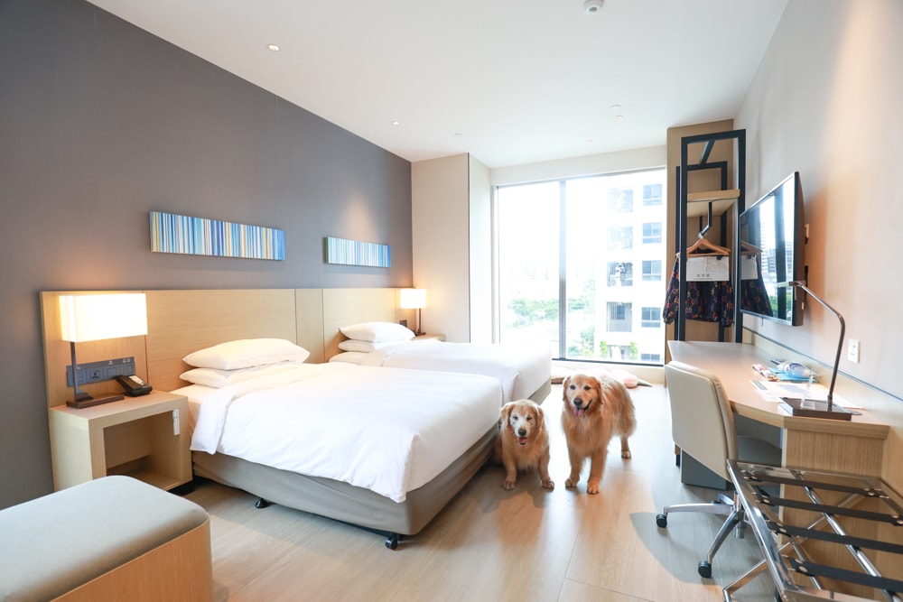 新北住宿推薦|新北新莊凱悅嘉軒酒店Hyatt Place。近機捷、宏匯廣場、寵物友善飯店推薦、交通便利、空中泳池 - 第24張圖 新北住宿推薦|新北新莊凱悅嘉軒酒店Hyatt Place。近機捷、宏匯廣場、寵物友善飯店推薦、交通便利、空中泳池