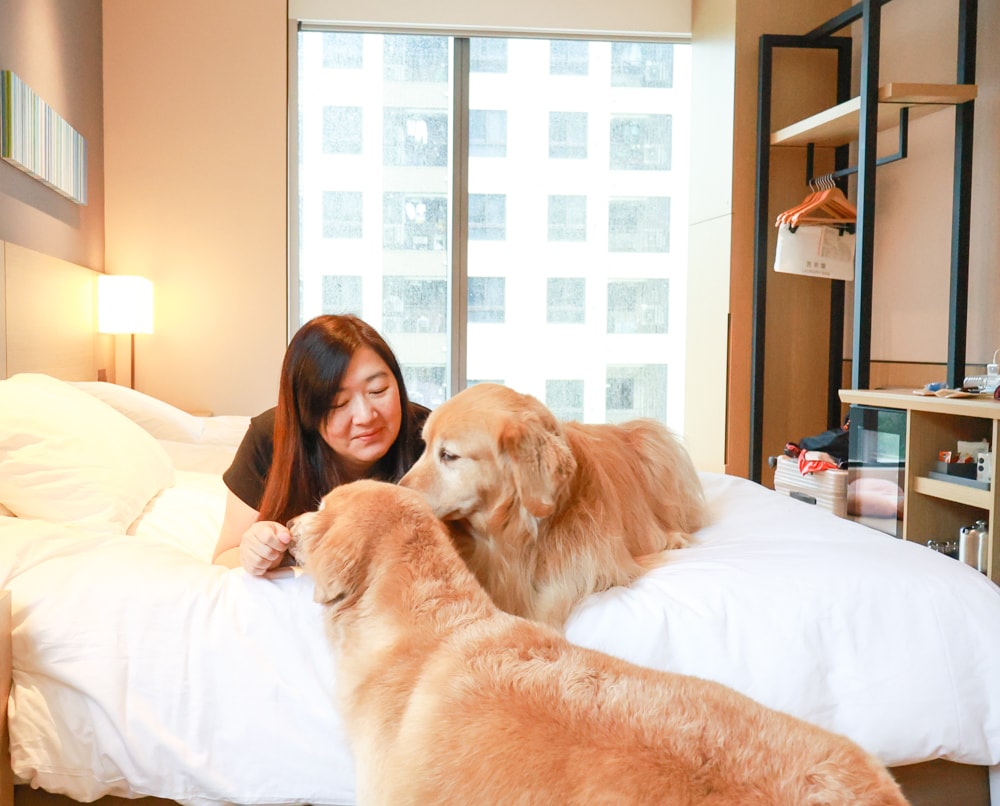 新北住宿推薦|新北新莊凱悅嘉軒酒店Hyatt Place。近機捷、宏匯廣場、寵物友善飯店推薦、交通便利、空中泳池 - 第64張圖 新北住宿推薦|新北新莊凱悅嘉軒酒店Hyatt Place。近機捷、宏匯廣場、寵物友善飯店推薦、交通便利、空中泳池