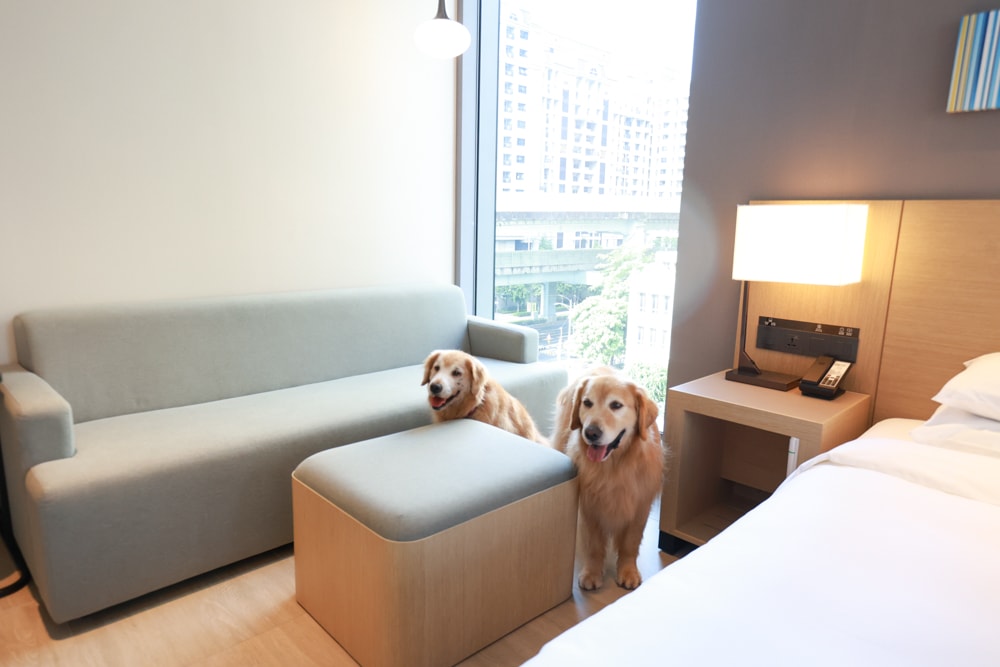 新北住宿推薦|新北新莊凱悅嘉軒酒店Hyatt Place。近機捷、宏匯廣場、寵物友善飯店推薦、交通便利、空中泳池 - 第26張圖 新北住宿推薦|新北新莊凱悅嘉軒酒店Hyatt Place。近機捷、宏匯廣場、寵物友善飯店推薦、交通便利、空中泳池