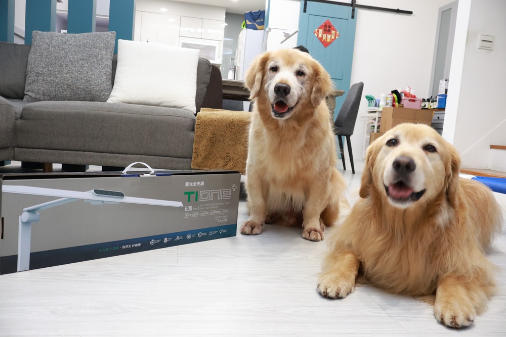 喜光全光譜 TIONE 光健康智慧全光譜LED護眼檯燈 底座款 | 真實使用心得、孩子讀書、拼樂高必備好光源、照亮閱讀學習好舒適! - 第24張圖 喜光全光譜 TIONE 光健康智慧全光譜LED護眼檯燈 底座款 | 真實使用心得、孩子讀書、拼樂高必備好光源、照亮閱讀學習好舒適!