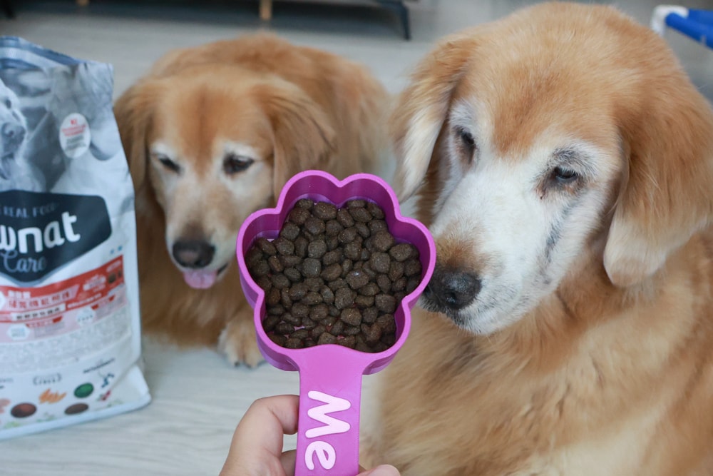 西班牙OWNAT歐娜特 Care 機能照護配方天然鮮肉糧｜犬糧、狗狗飼料、關節、腸胃、皮毛機能照護全到位！