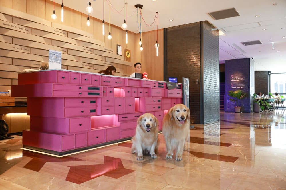 高雄住宿推薦｜高雄英迪格酒店。寵物住房專案開箱，近中央公園、捷運、美食購物都方便！