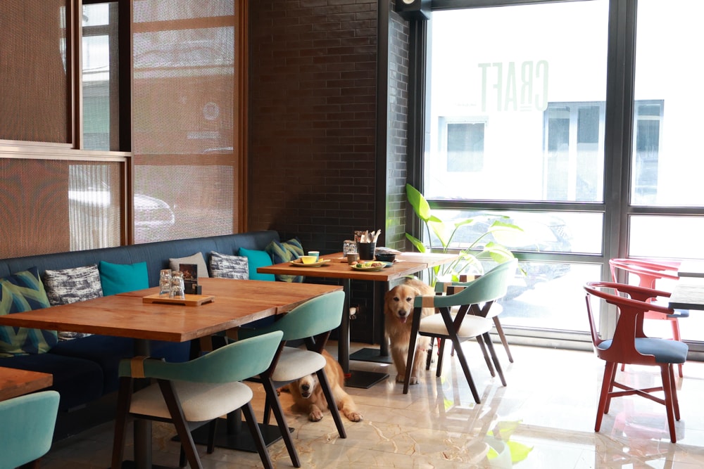 高雄住宿推薦｜高雄英迪格酒店。寵物住房專案開箱，近中央公園、捷運、美食購物都方便！