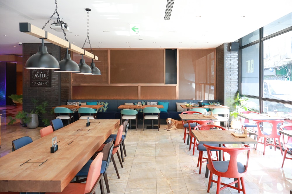 高雄住宿推薦｜高雄英迪格酒店。寵物住房專案開箱，近中央公園、捷運、美食購物都方便！