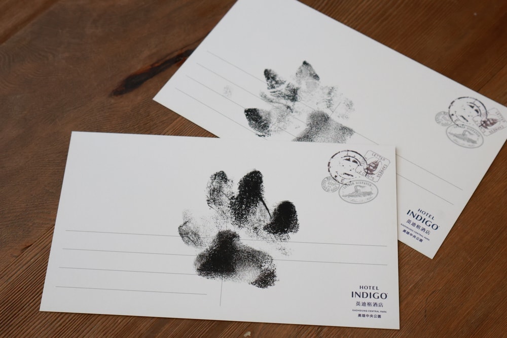 高雄住宿推薦｜高雄英迪格酒店。寵物住房專案開箱，近中央公園、捷運、美食購物都方便！