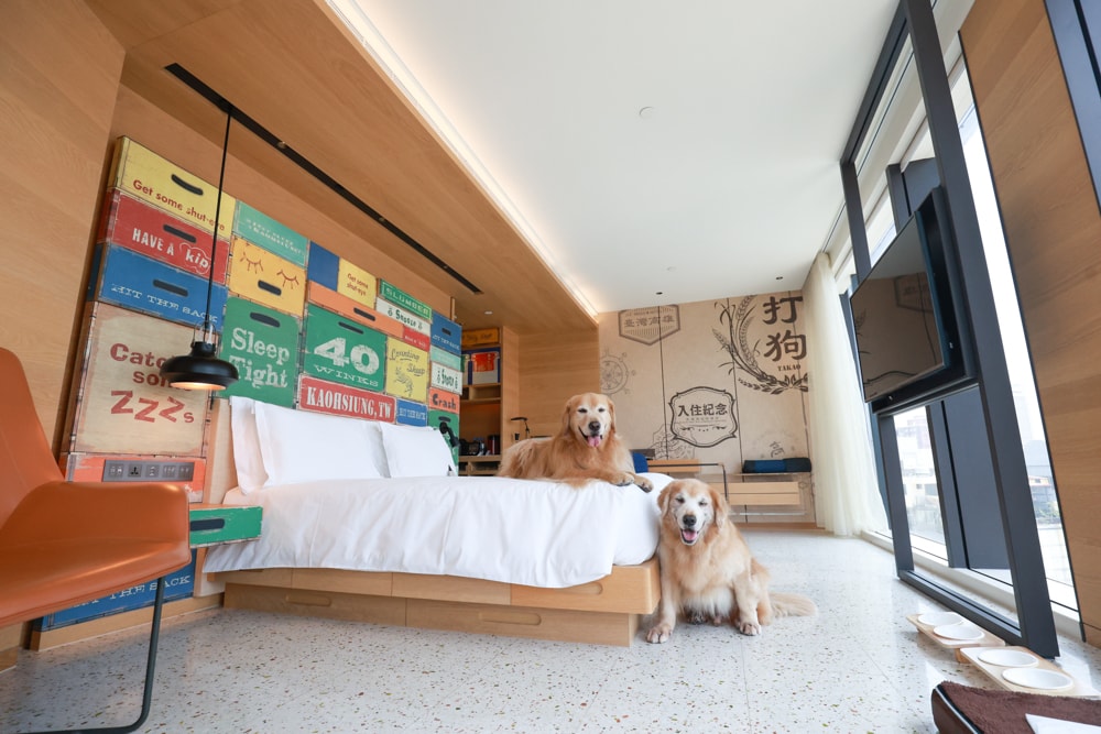 高雄英迪格 寵物友善,高雄 寵物友善旅館,高雄 寵物友善