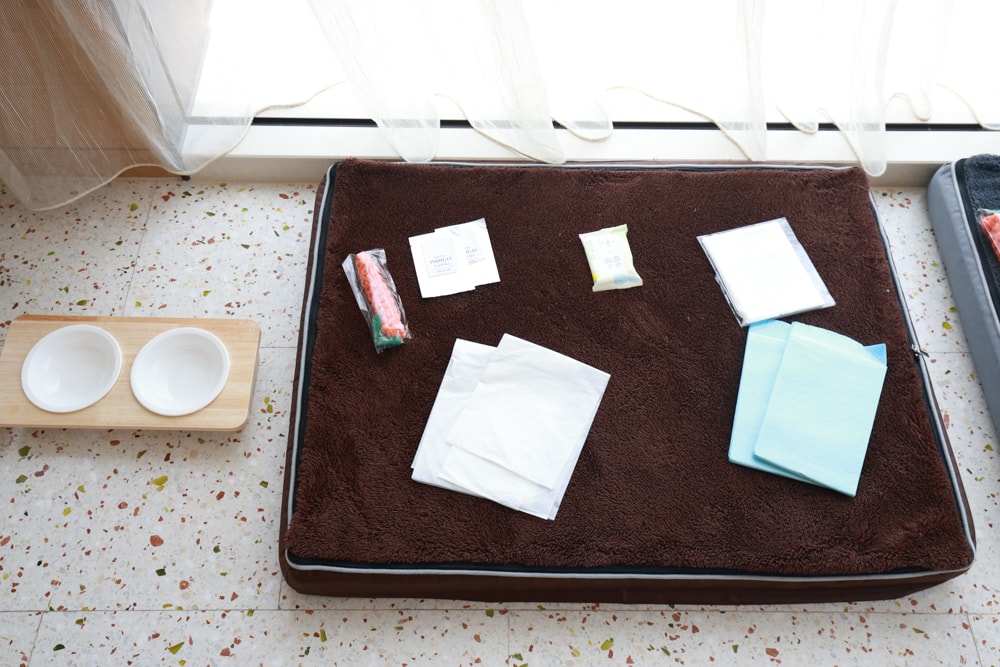 高雄住宿推薦｜高雄英迪格酒店。寵物住房專案開箱，近中央公園、捷運、美食購物都方便！