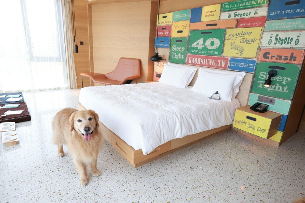 高雄住宿推薦｜高雄英迪格酒店。寵物住房專案開箱，近中央公園、捷運、美食購物都方便！