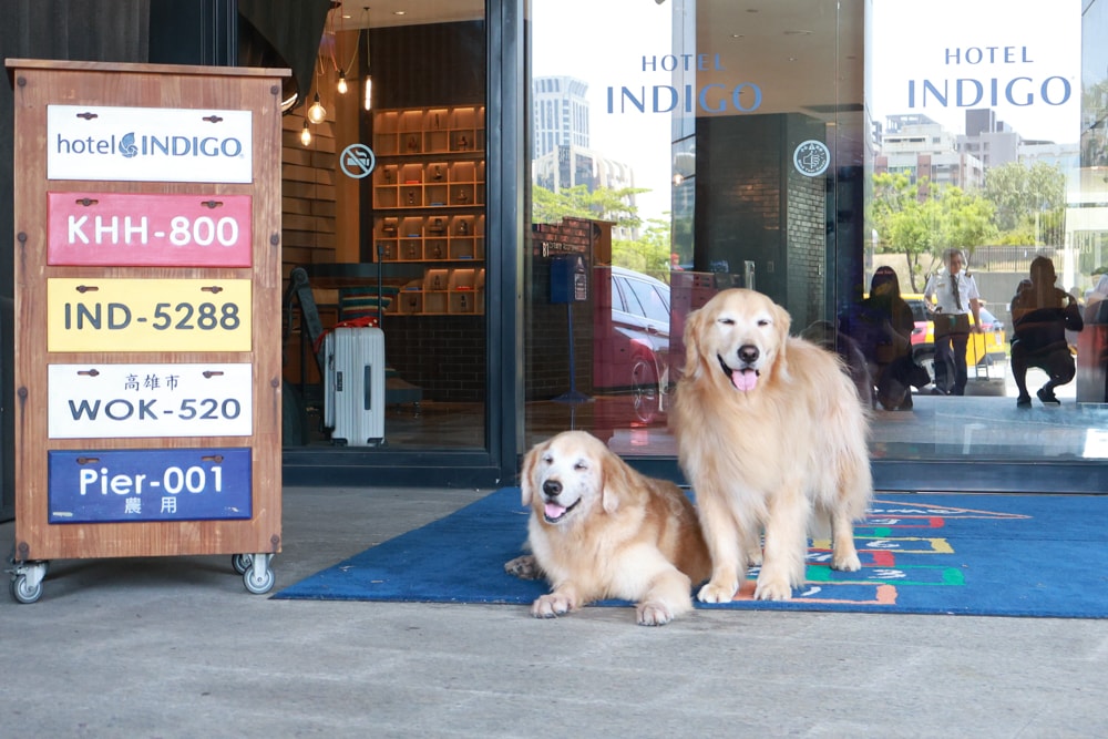 高雄住宿推薦｜高雄英迪格酒店。寵物住房專案開箱，近中央公園、捷運、美食購物都方便！