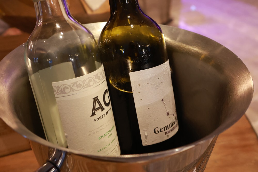 高雄住宿推薦｜高雄英迪格酒店。寵物住房專案開箱，近中央公園、捷運、美食購物都方便！