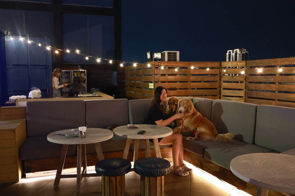 高雄住宿推薦｜高雄英迪格酒店。寵物住房專案開箱，近中央公園、捷運、美食購物都方便！