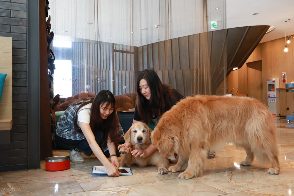 高雄住宿推薦｜高雄英迪格酒店。寵物住房專案開箱，近中央公園、捷運、美食購物都方便！