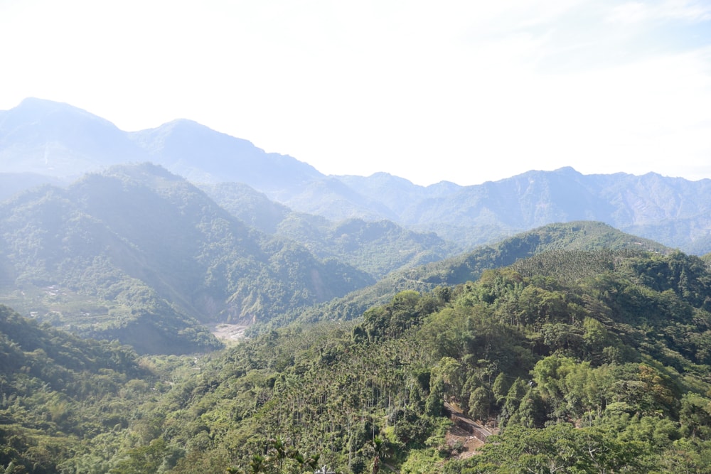 嘉義阿里山一卷石民宿日出雲海景觀民宿。泡腳體驗、寵物友善民宿、賞星星的絕美山居秘境