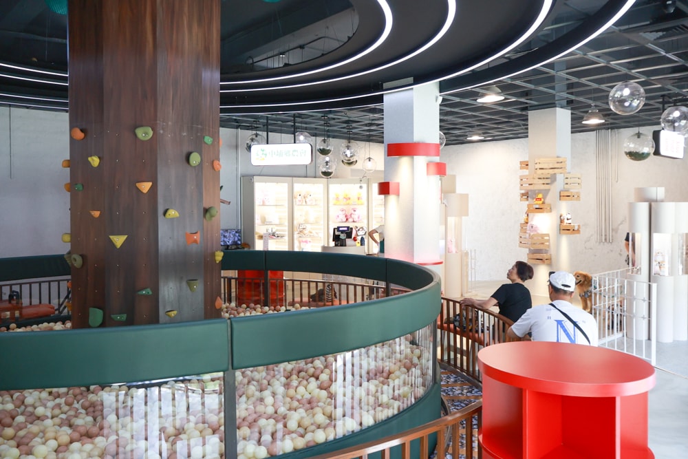 🚗中埔穀倉農創園區｜嘉義寵物友善景點，免門票、穀倉星巴克、美術館、市集、童玩通通有！嘉義順遊阿里山超推薦🌾🐶