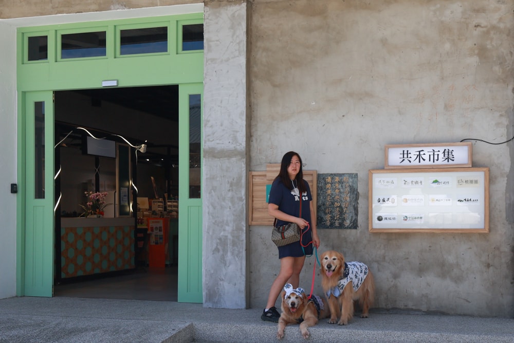 🚗中埔穀倉農創園區｜嘉義寵物友善景點，免門票、穀倉星巴克、美術館、市集、童玩通通有！嘉義順遊阿里山超推薦🌾🐶