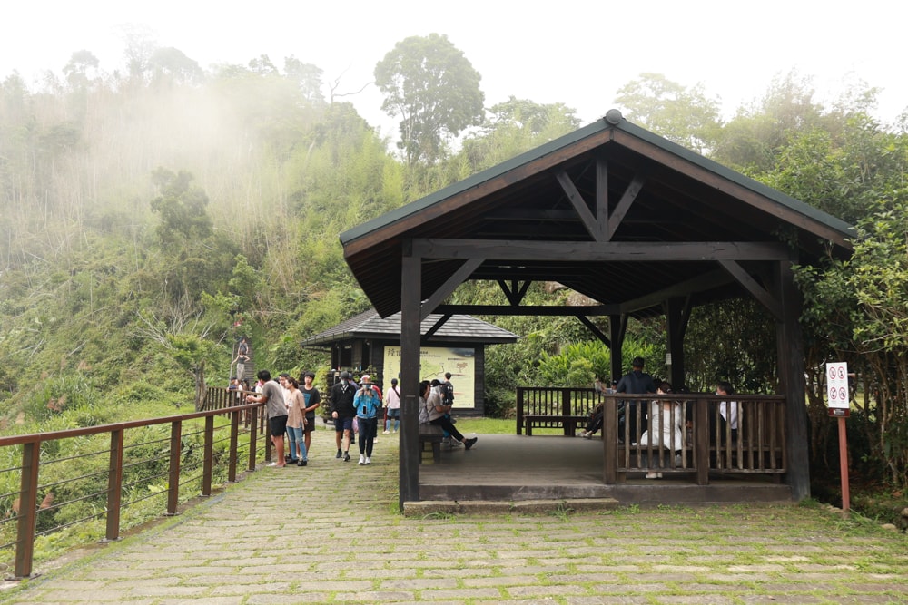 嘉義阿里山寵物友善步道推薦｜二延平步道：輕鬆走、景色爆炸美，毛孩一起追夕陽雲海！