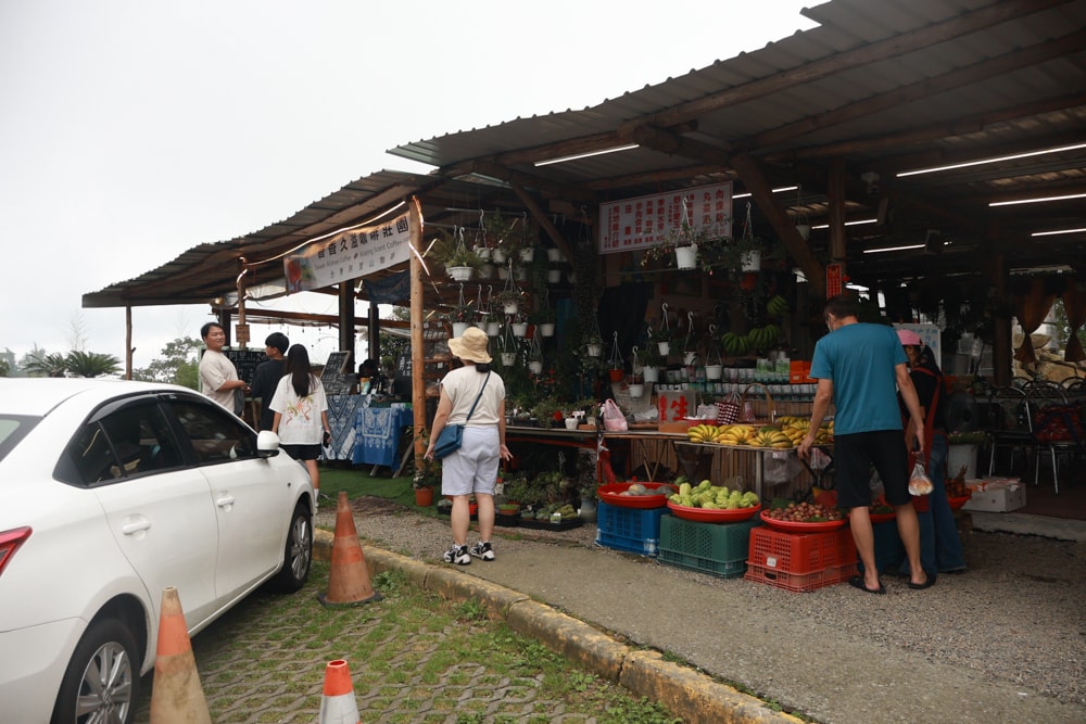 嘉義阿里山寵物友善步道推薦｜二延平步道：輕鬆走、景色爆炸美，毛孩一起追夕陽雲海！