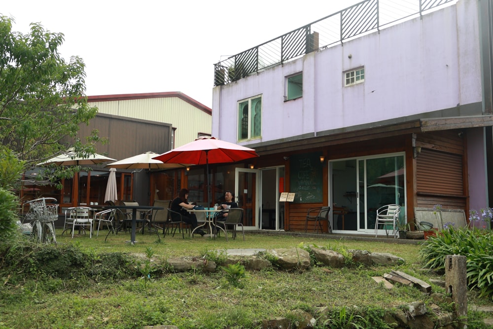 嘉義阿里山寵物友善步道推薦｜二延平步道：輕鬆走、景色爆炸美，毛孩一起追夕陽雲海！