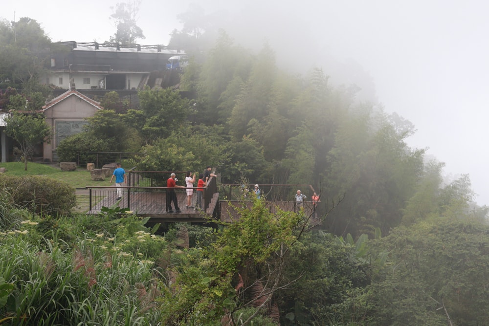 嘉義阿里山寵物友善步道推薦｜二延平步道：輕鬆走、景色爆炸美，毛孩一起追夕陽雲海！