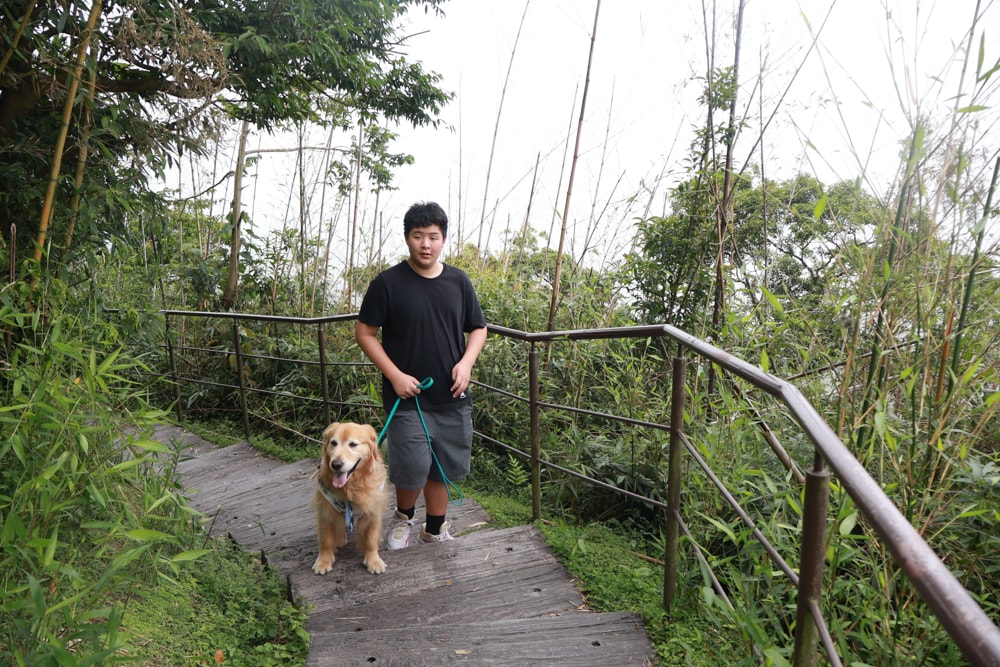 嘉義阿里山寵物友善步道推薦｜二延平步道：輕鬆走、景色爆炸美，毛孩一起追夕陽雲海！