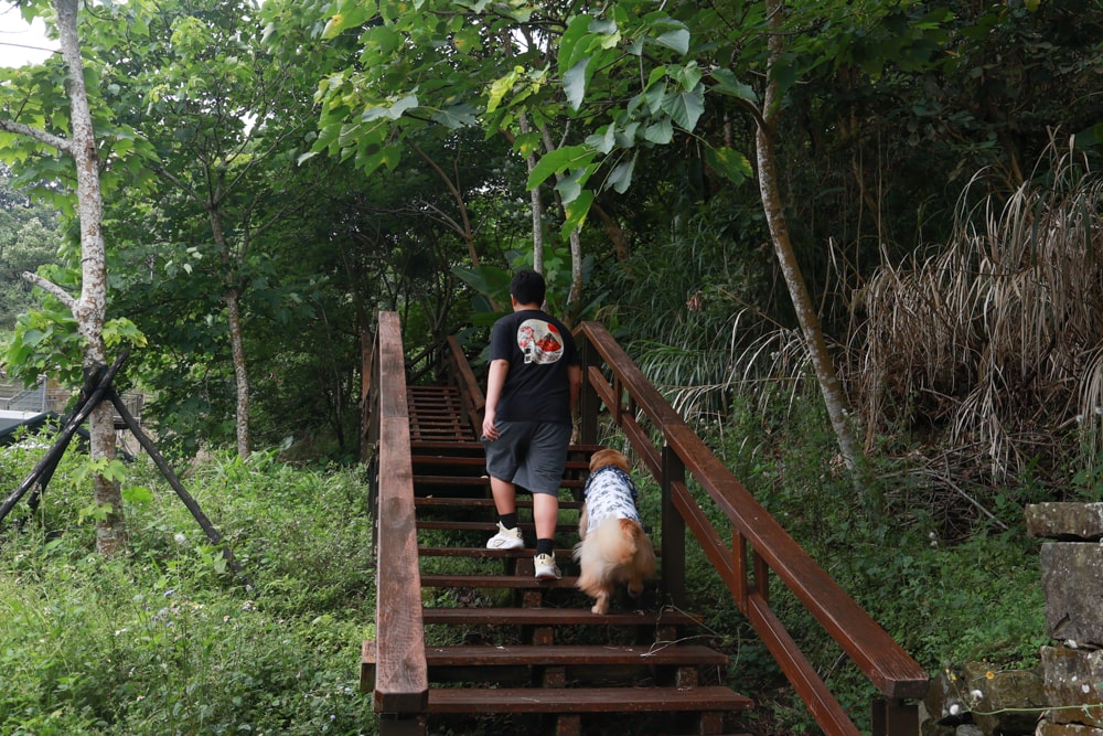 嘉義阿里山中途景點新選擇|土匪森活村x公興森態園區,寵物友善又能賞景泡茶超Chill、嘉義阿里山景點推薦、嘉義番路秘境 - 第12張圖 嘉義阿里山中途景點新選擇|土匪森活村x公興森態園區,寵物友善又能賞景泡茶超Chill、嘉義阿里山景點推薦、嘉義番路秘境