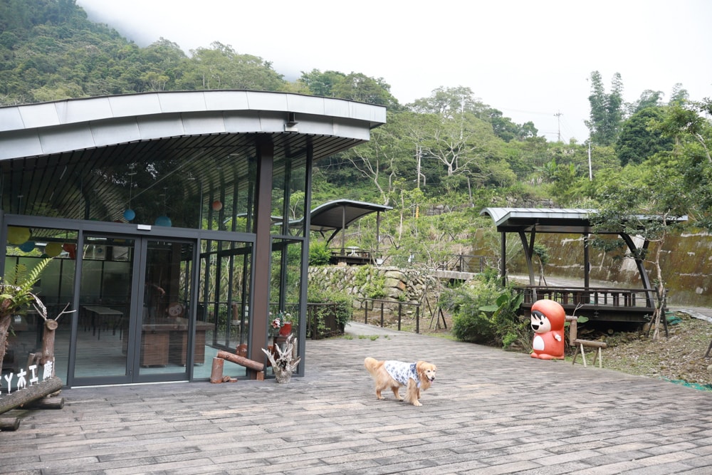 嘉義阿里山中途景點新選擇|土匪森活村x公興森態園區,寵物友善又能賞景泡茶超Chill、嘉義阿里山景點推薦、嘉義番路秘境 - 第20張圖 嘉義阿里山中途景點新選擇|土匪森活村x公興森態園區,寵物友善又能賞景泡茶超Chill、嘉義阿里山景點推薦、嘉義番路秘境