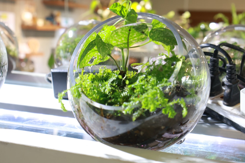 宜蘭員山勝洋休閒農場｜釣蝦DIY、水草火鍋、生態瓶體驗｜親子＋寵物友善半日遊推薦、宜蘭寵物友善景點推薦